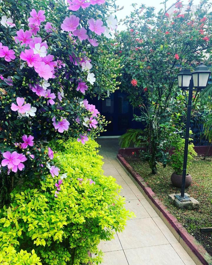 Villa Di Verona Charm Hotel Γκουαρούχα Εξωτερικό φωτογραφία